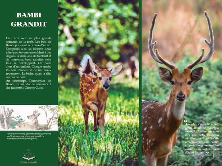 Panneau sur Bambi qui grandit