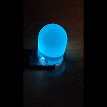 VID_20220303_151420_AdobeExpress.gif