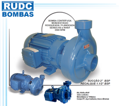 Motobomba Centrífuga Monoestágio RUDC Modelo RS, RVR e RVF