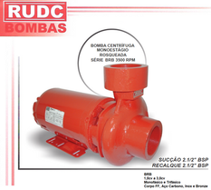Motobomba Centrífuga Monoestágio de Combate a Incêndio RUDC Modelo BRB