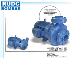 Motobomba Centrífuga Monoestágio RUDC Modelo BRVF e BRVR