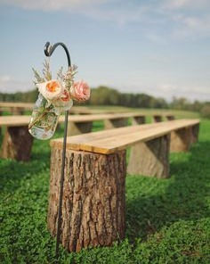 Thumbnail: Tree Stumps