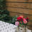 Thumbnail: Glass Bud Vases