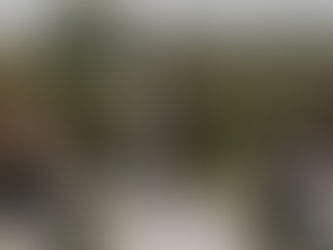 Uncovering the Allure of Outdoor Wedding Venues near Des Moines for Your Picture-Perfect Day