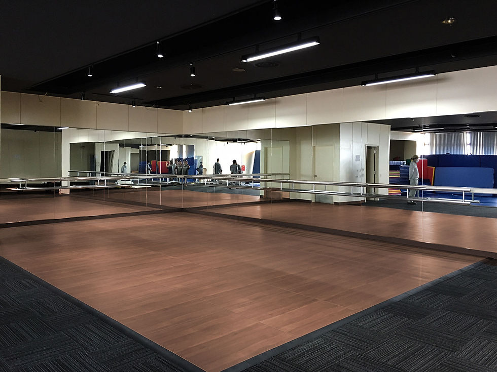 Thumbnail: Multi-Surface Dance Floor