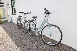 Unit 1 Bikes - 495A0453 (1)