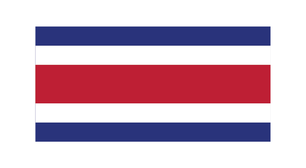 bandera1