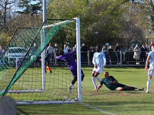 Phoenix 3-1 Chislehurst Glebe