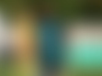 MATCH PREVIEW: Holmesdale vs Phoenix