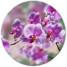 images_edited_edited.png