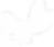 cfs-icon.png