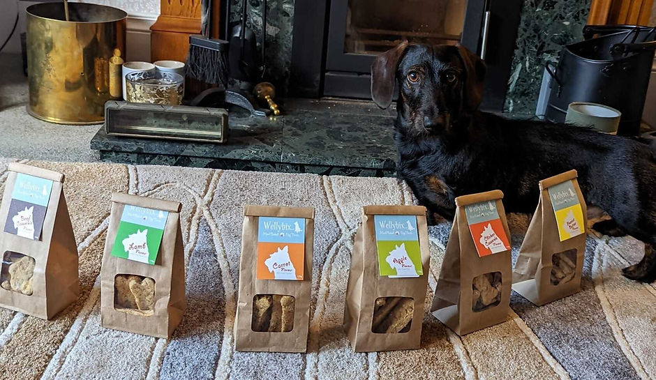 welly bix and dog