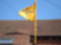 bvs flag