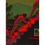 Thumbnail: "Crawling upstairs" - Limited Edition Fine Art Print
