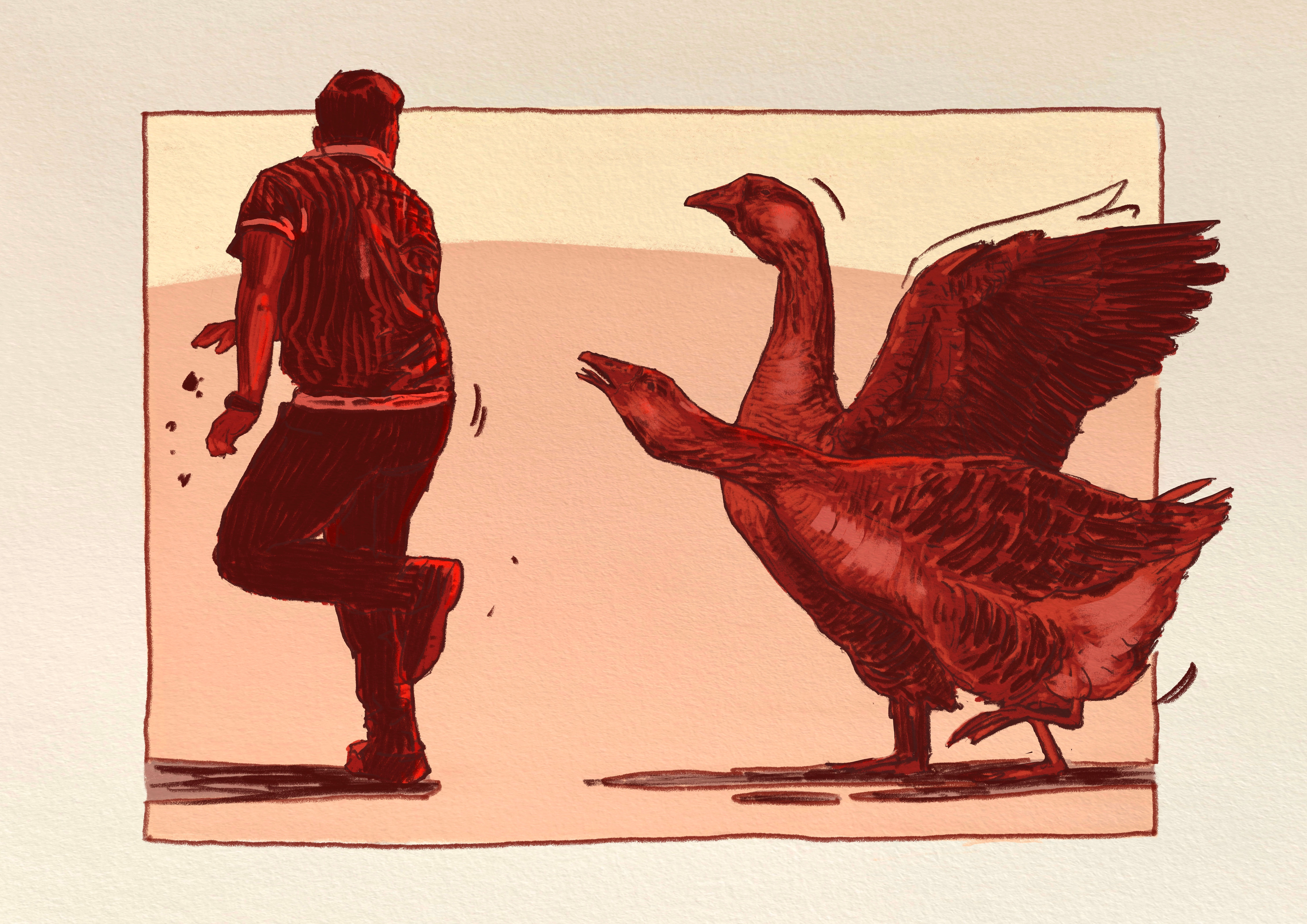 Gansos de Guarda" - Limited Edition Fine Art Print