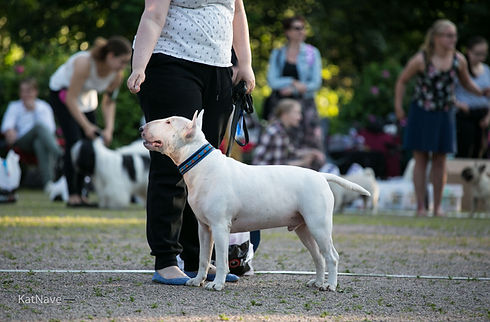 20150715_Match Show Munkkiniemi _102.jpg