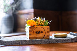 2024-10-31-leipzig-ikigai-asian-cuisine-restaurant-gastro-shooting-ossietzkystrasse-1-offe