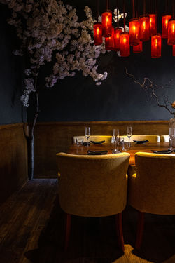 2024-10-31-leipzig-ikigai-asian-cuisine-restaurant-gastro-shooting-ossietzkystrasse-1-offe