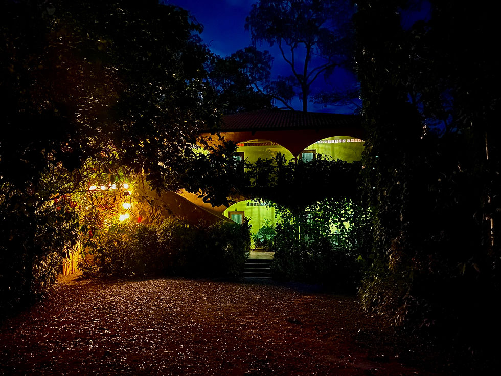 From the Jungle to Jupiter: Stargazing in Panama's Dark Skies. 