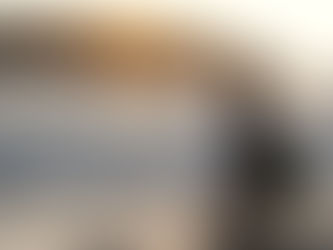 Bats of Panama - The Beautiful batmen of Morrillo