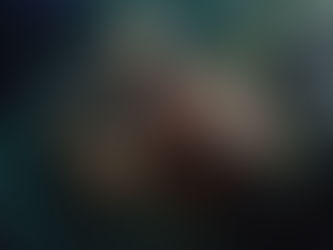 Natural disinfectants, chemical free travel and essentials oils for your jungle stay.