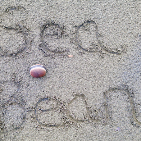 Sea Beans in Panama 