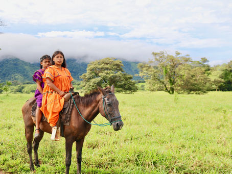 Who are Panamanians? What's their history?