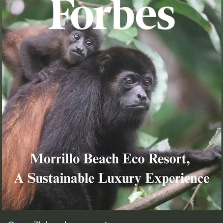 Mother Howler Monkey and her infant with Forbes Story Title