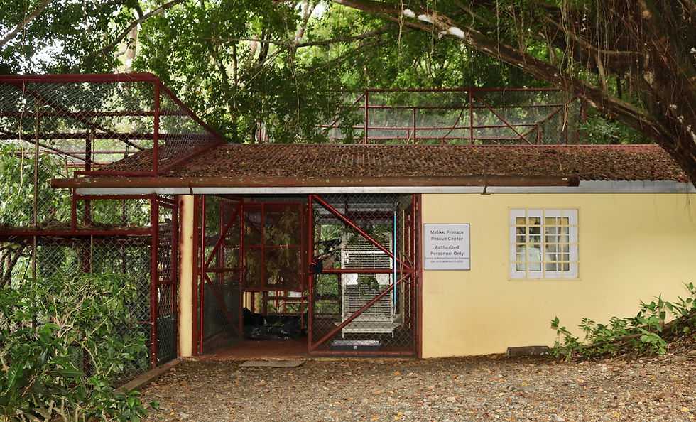Melikki's Primate Rescue Center