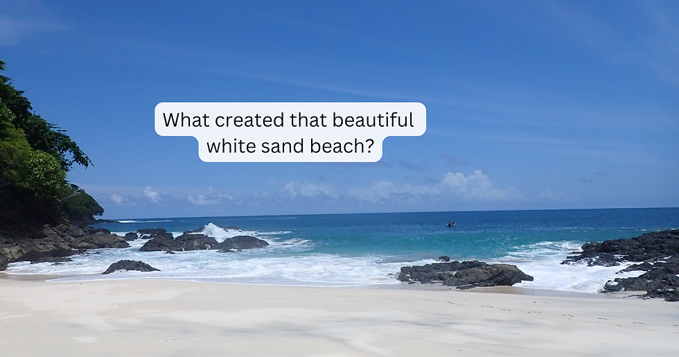 The beautiful white sand beaches of Panama