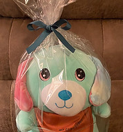 care buddy 1.jpg