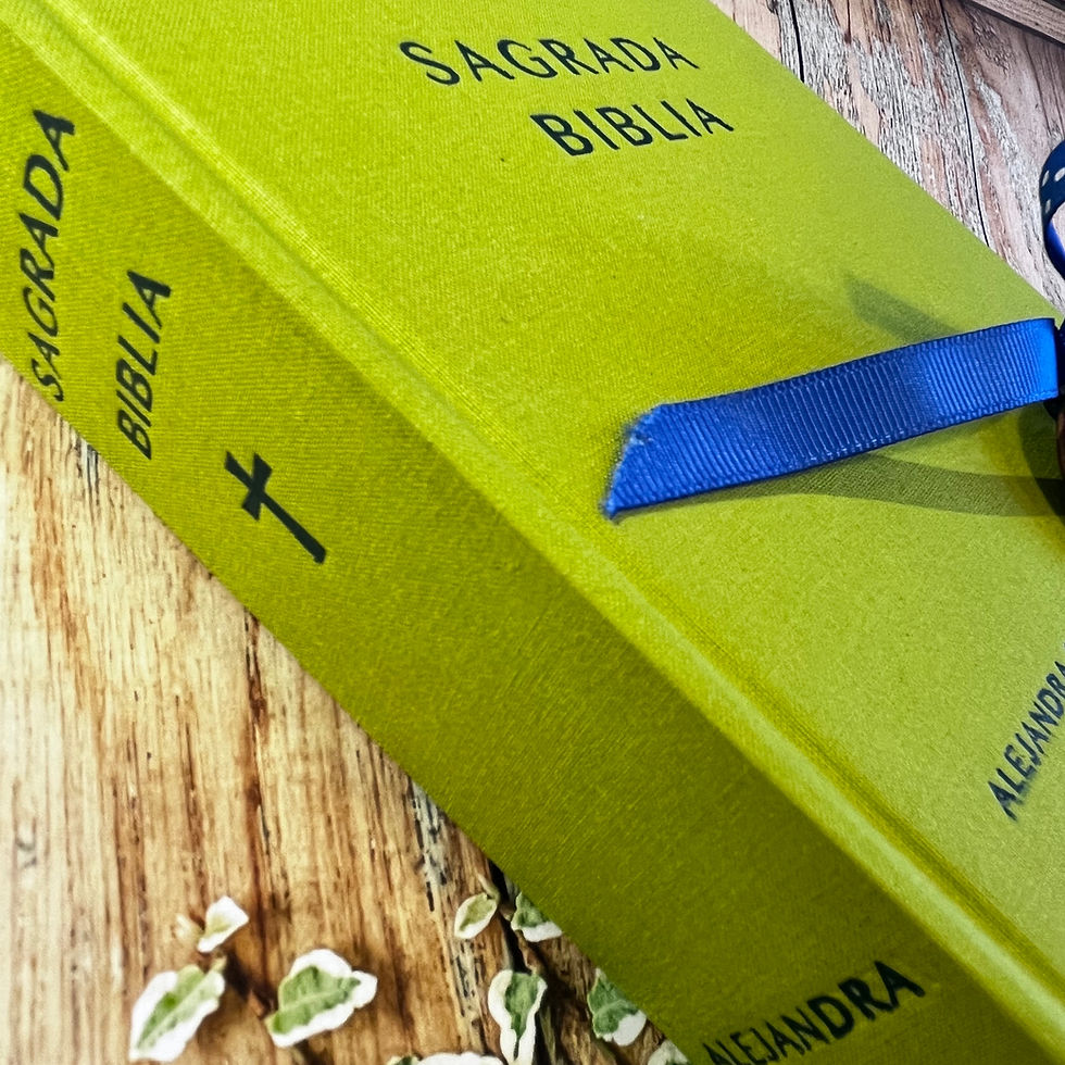 DETALLE LOMO Y TAPA BIBLIA APPLE