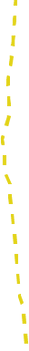 Asset 1.png