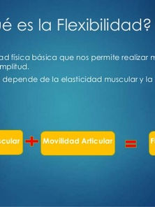 La flexibilidad