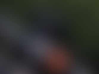 LOREM IPSUM LOREM
