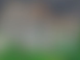 ONU alerta falta de planos concretos de países para reduzir o desmatamento