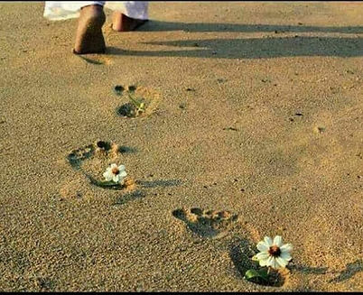 réflexologie plantaire