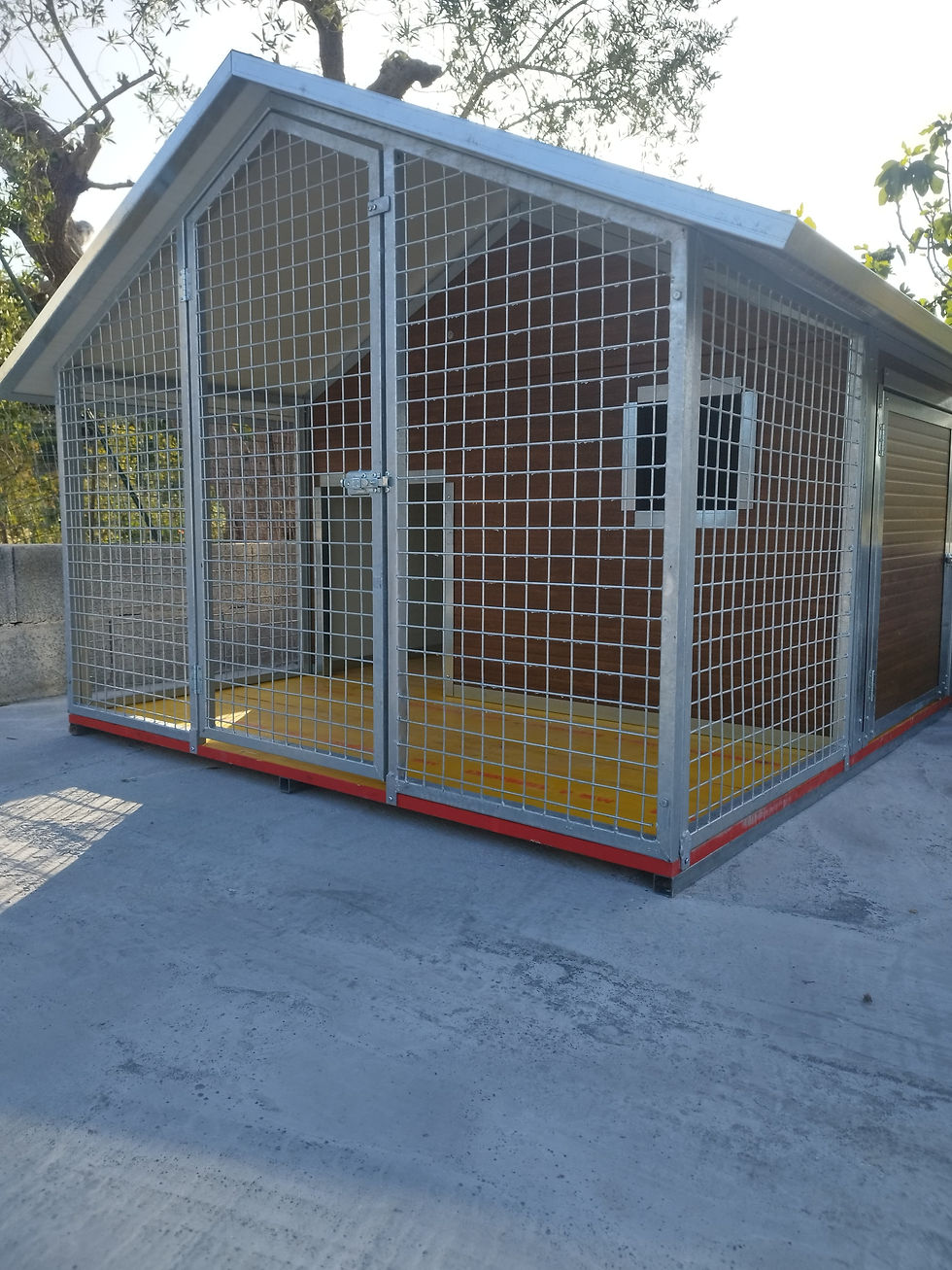 Miniatura: Suite Cani Effetto Legno