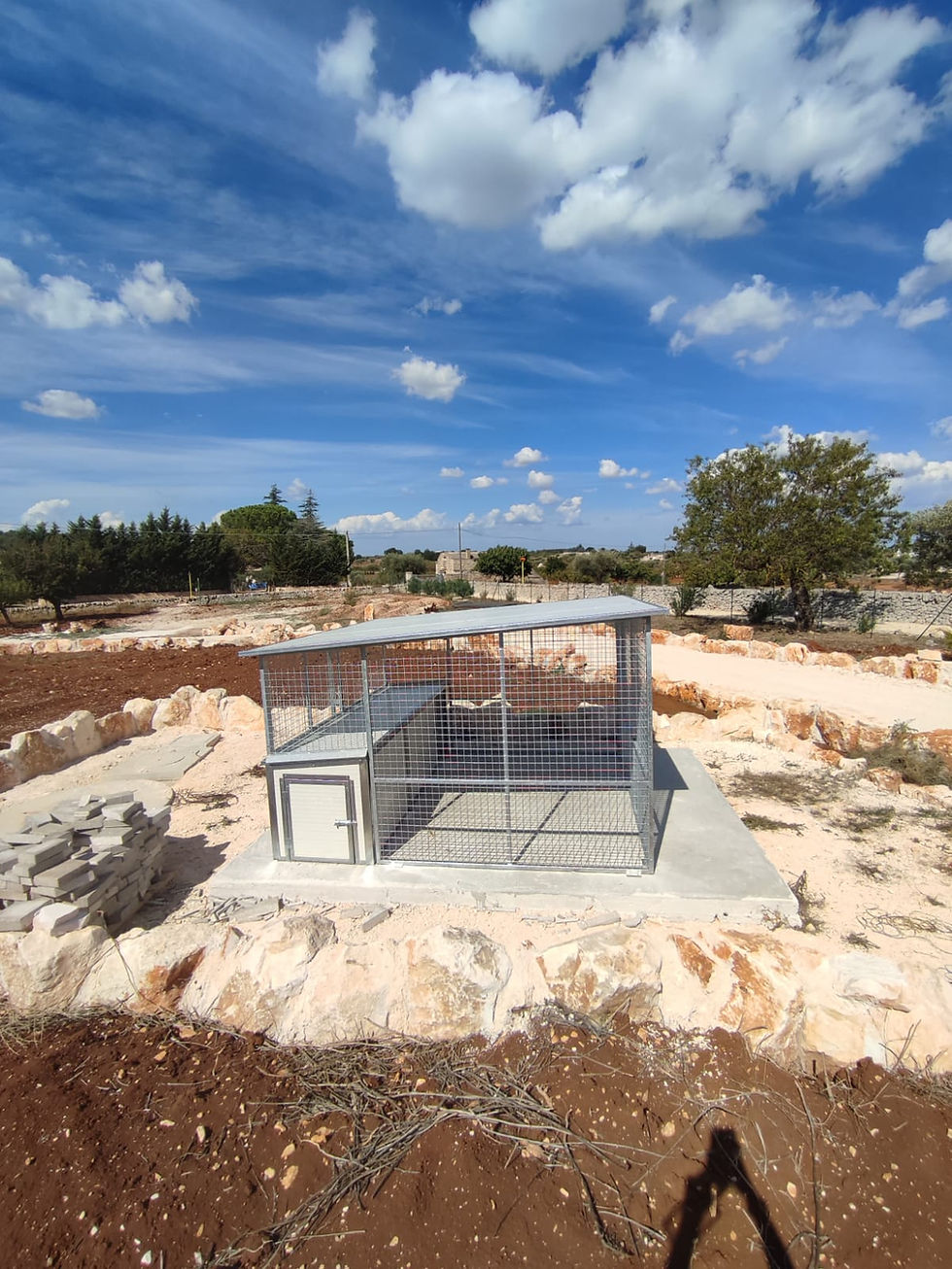 Miniatura: Recinto Con Cuccia e Deposito