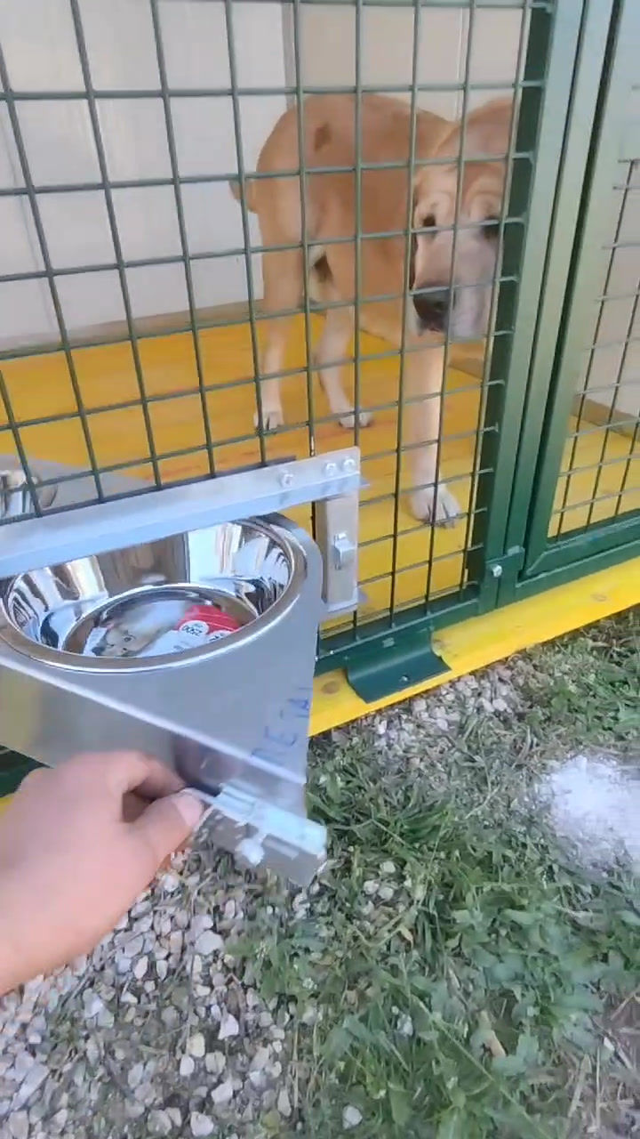 Miniatura: Porta Ciotole Girevole Doppio