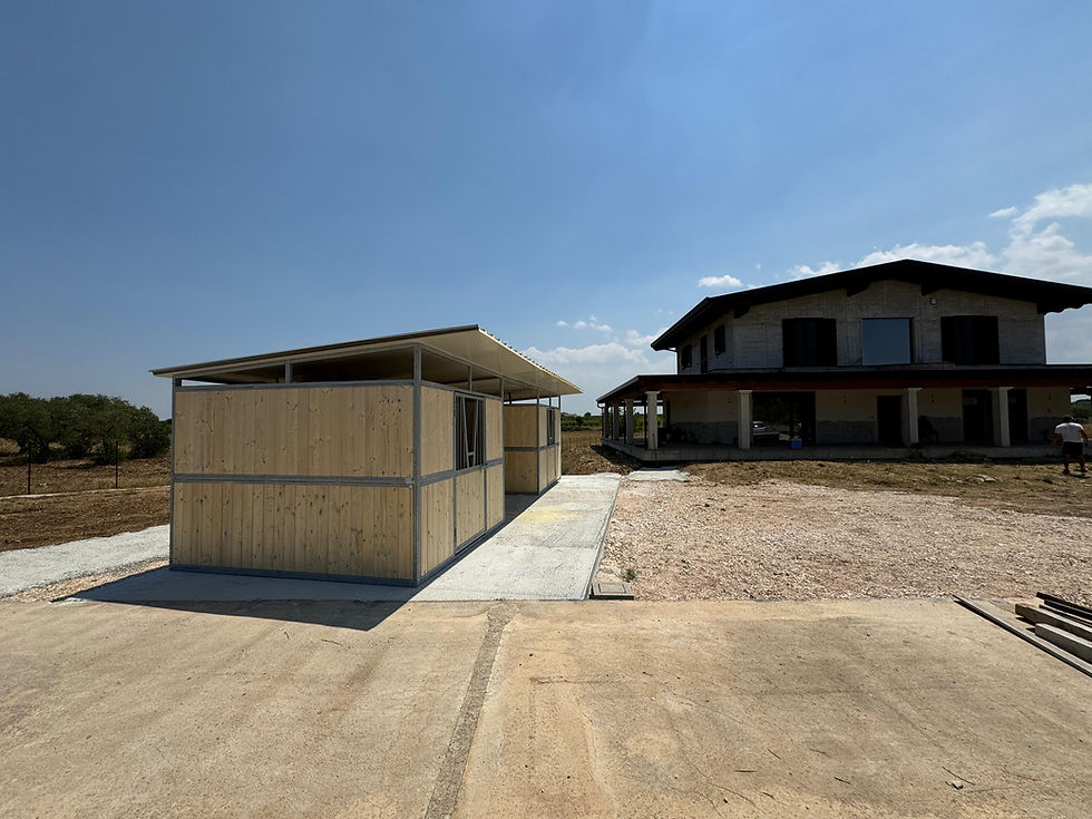 Miniatura: Box Cavalli