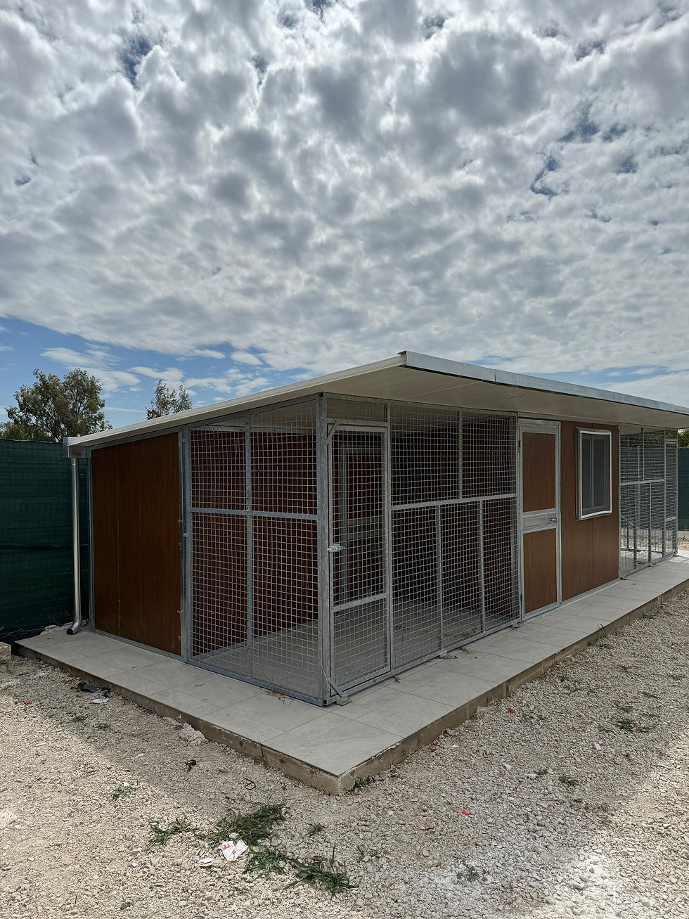 Miniatura: Box Doppio con Toilettatura