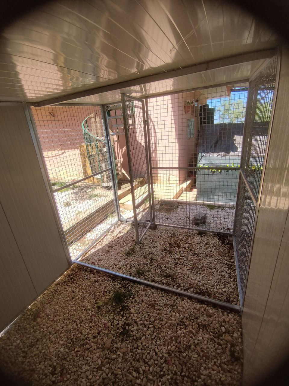 Miniatura: Recinto Doppio in Rete e Coibentato con Copertura