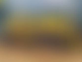 Setembro Amarelo💛