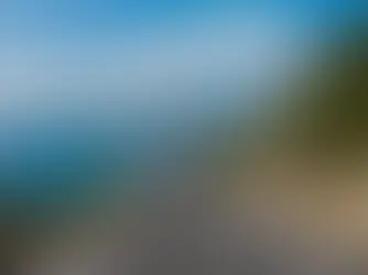 How does driving in Japan compare in terms of costs, risks, and benefits?