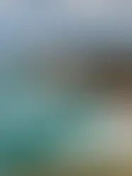 Exploring Australia: My Favorite Day Trips Down Under