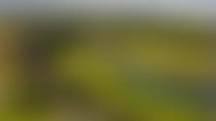 Exploring the Unknown: Day Trips from Reykjavik