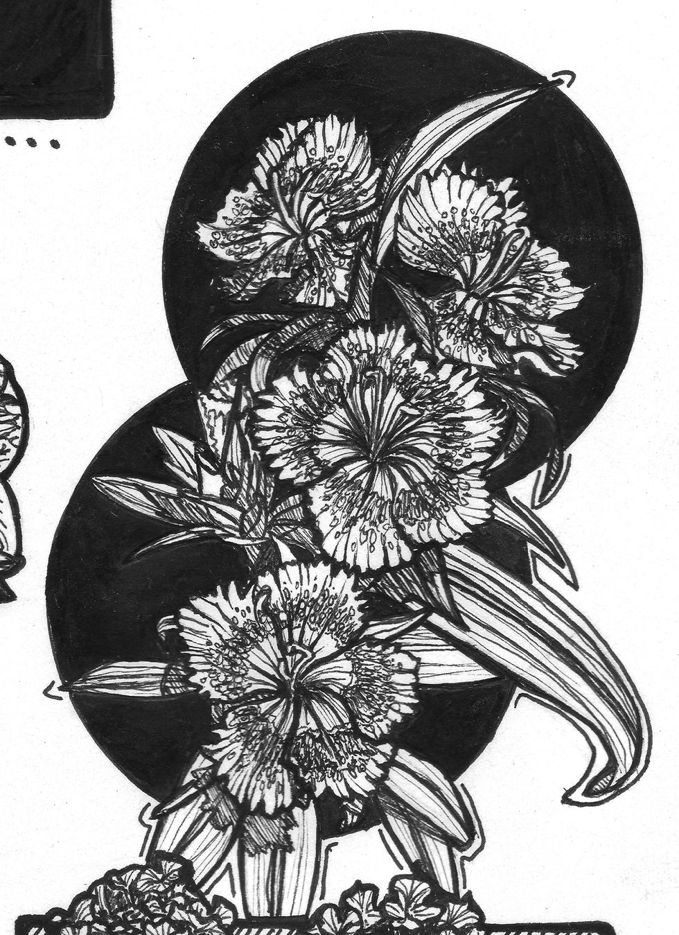 Dianthus (detail) (2025)