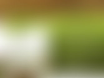 LENTE, MATITE E PASSEGGIATE: alla scoperta Natura.