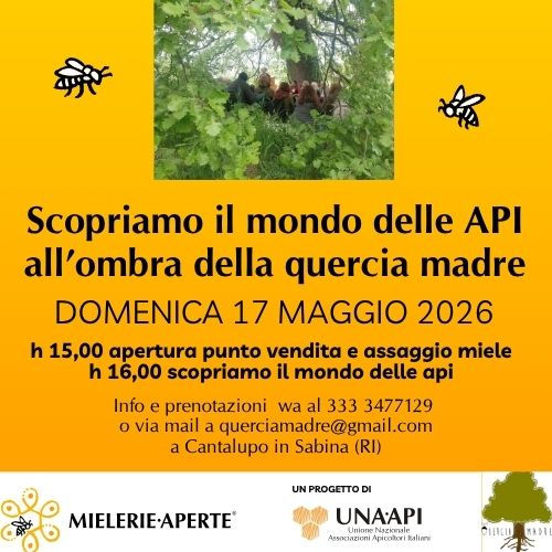 Il mondo delle api all'ombra della grande quercia